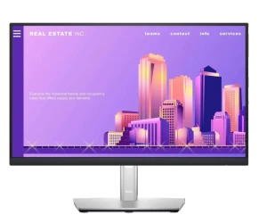 Monitor Dell P2422H 23,8" FHD Klasa B