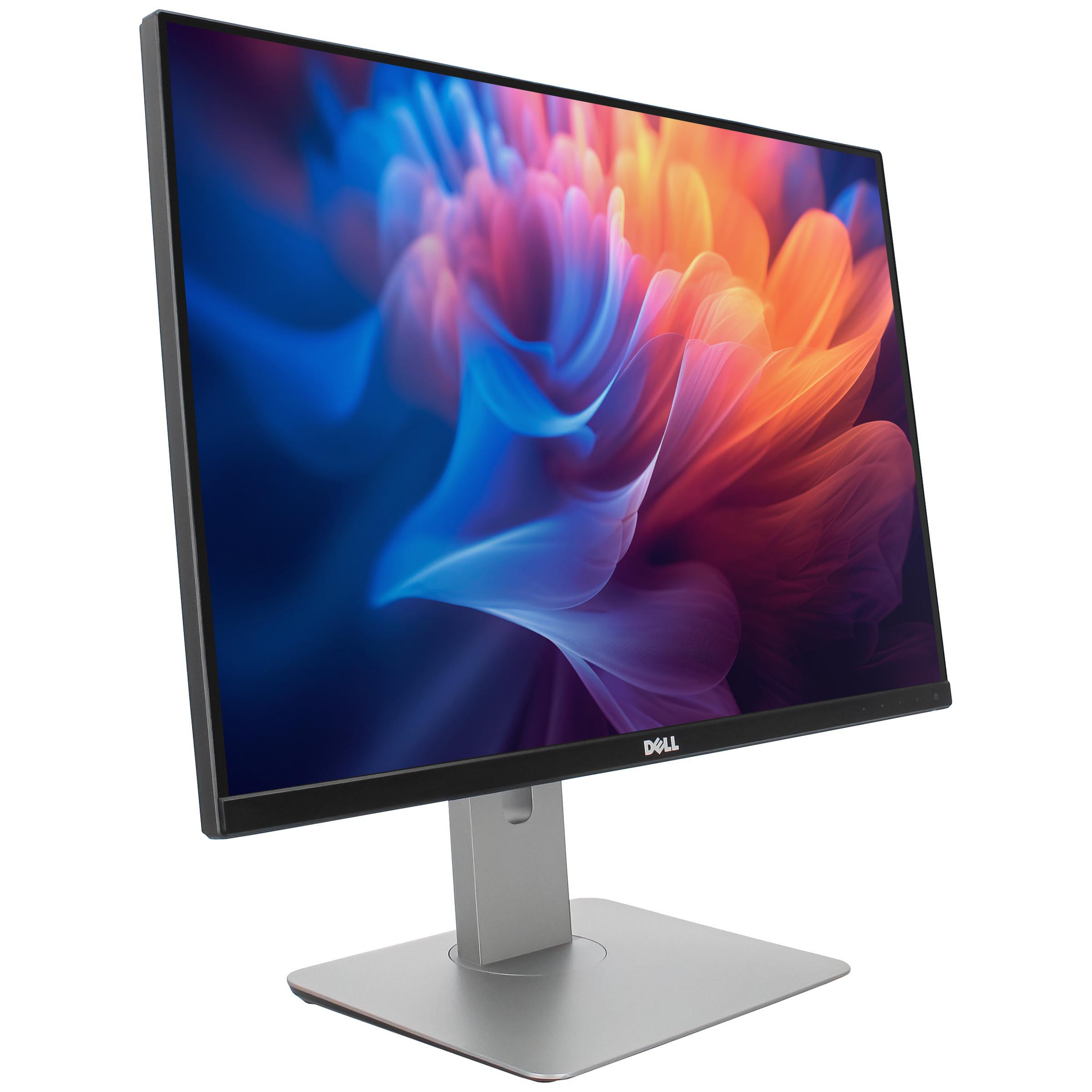 Dell Flat Panel Monitor